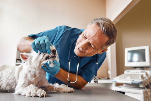 Best Weekend Emergency Dentist in Columbia Heights, MN